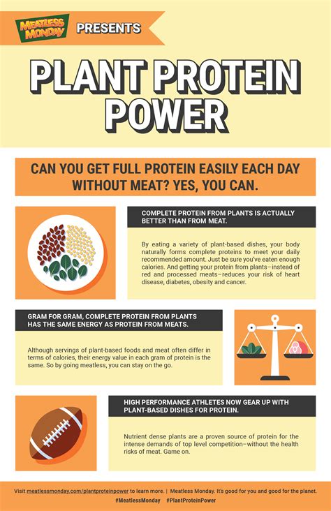 The Protein Power Lifeplan 5