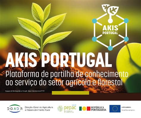 Plataforma Akis Portugal é Lançada Esta Sexta Feira No Ccb Akis Portugal