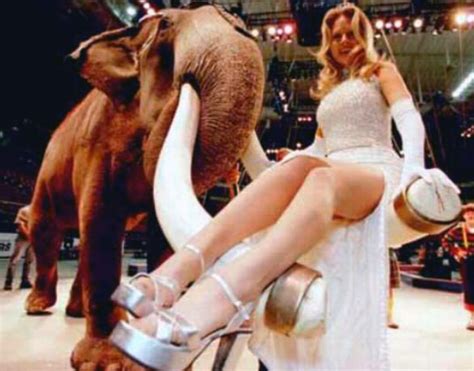 Beverly D Angelo Nude Pics Scenes And Porn Scandal Planet