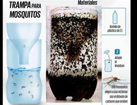 How To Make A Home Made Mosquito Trap Garden
