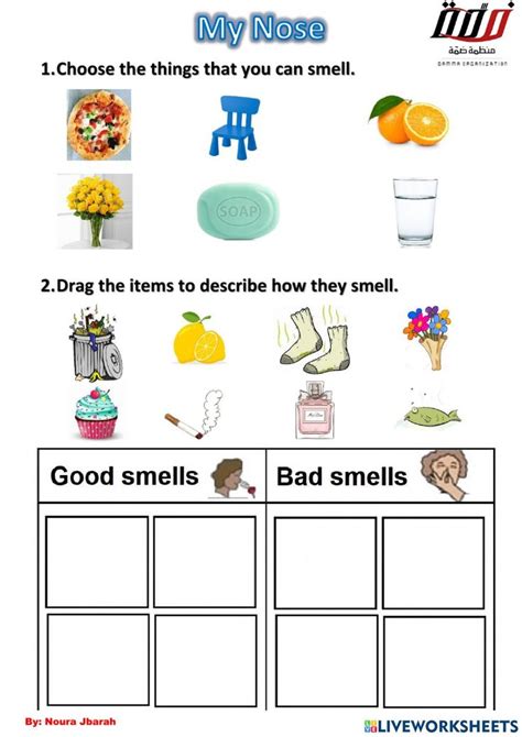 My Nose Worksheet Life Skills Class Life Skills Plant Life Cycle