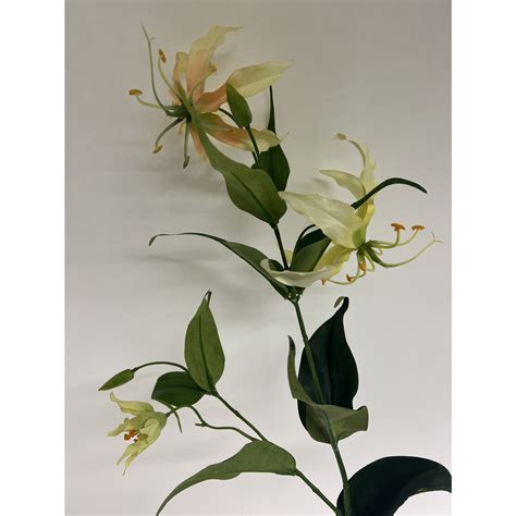 GLORIOSA GEEL 76 CM JIM JON GROOTHANDEL Jim Jon