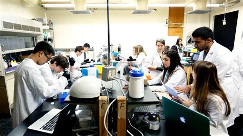 This article explains how taomia became a global sensation 16