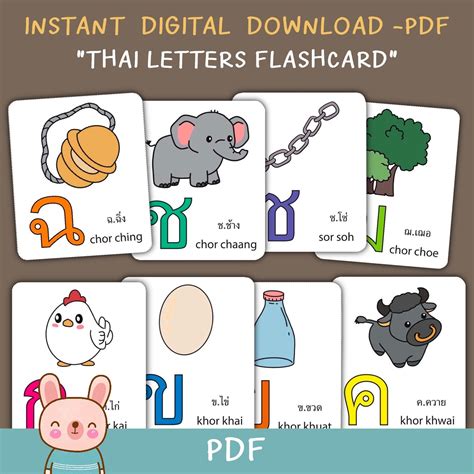 thai alphabet flash cards  pictures learning thai  etsy