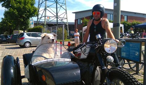 Motorcycle Sidecar Dog In A Free Photo On Pixabay