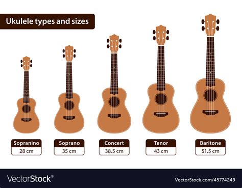 Kids And Professional Ukulele Sizes Comparison Vector Image