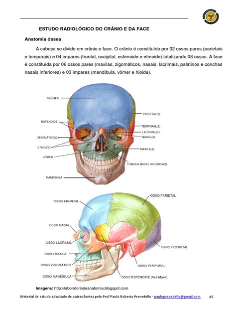 Anatomia Do Cranio Pdf - Estudo Radiológico do Crânio e Face | PDF | Anatomia humana | Cabeça e ...