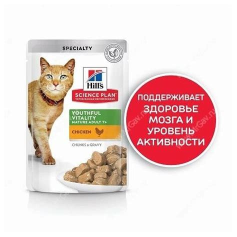 Влажный корм для пожилых кошек Hill's Science Plan Senior Vitality для ...