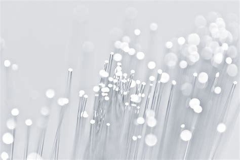 Dr Naomi Stevens – Partnership promotion announcement - Boult Wade Tennant