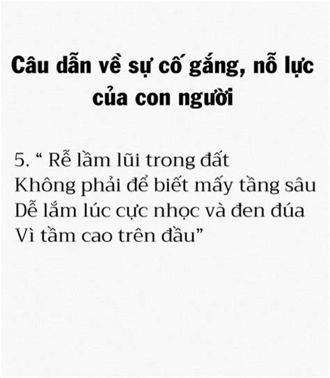 Ghim Của Nguyễn Ngọc Nga Trên Quotes Văn Chương Chữ Quốc Ngữ Bảng