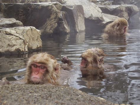 Yusuke Japan Blog Dont Be Shy To Get Naked In Onsen