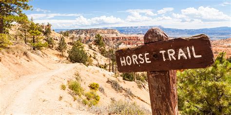 Bryce Canyon Things To Do Bryce Canyon Lodge And Activities