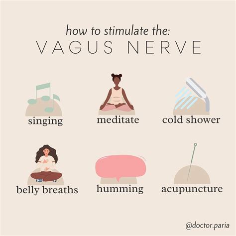 Vagus Nerve Why It Is So Important Artofit