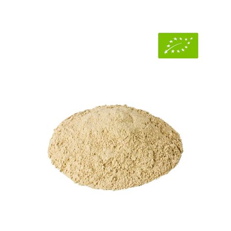 1 Kg Di Criniera Di Leone Biologica In Polvere Hericium Erinaceus