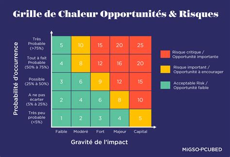 5 éléments pour un management des risques réussi MP MIGSO PCUBED