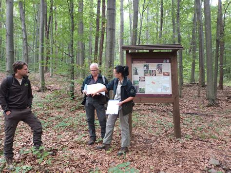 Nt Lnirea Comitetului De Management N Comun A Sitului Natural Unesco