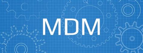 What is MDM? Cost, Benefits & Working Process - F60 Host Support