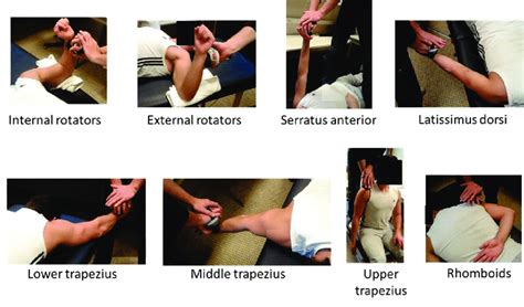 Photos of the shoulder muscle strength evaluation. | Download ...