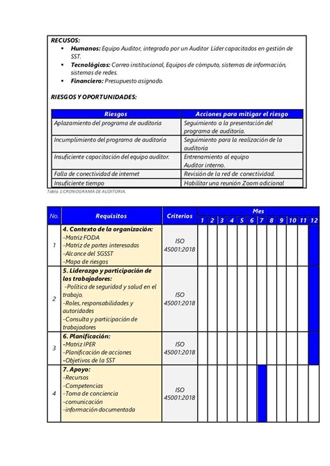 Programa Anual De Auditoria Interna