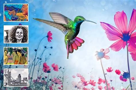 Photoshop Elements 2025 Reviews And Ratings Joseph L Wells