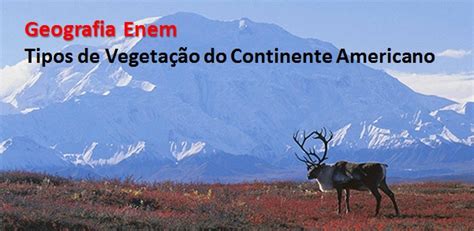 Vegetação Do Estados Unidos - Vegetação do continente americano: tipos e características