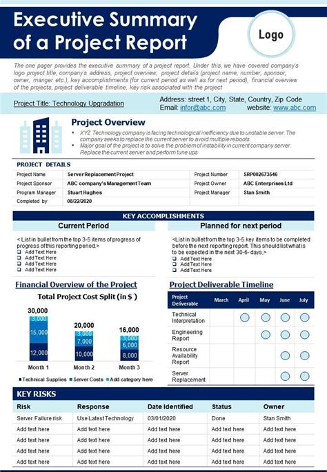 Executive Summary Of A Project Report Presentation Report Infographic