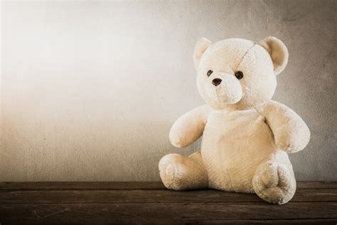 Premium Photo Still Life Of A Cute Teddy Bear