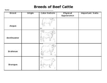 Beef Breeds Notes Chart by The Little Barn Owl | TPT