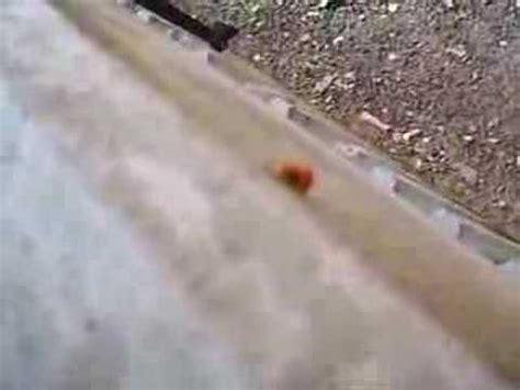 Lady Bug Sex YouTube
