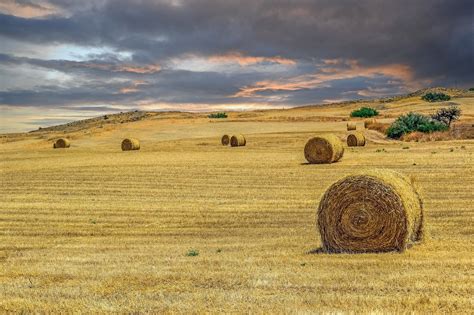 Hayfield Hay Rural - Free photo on Pixabay