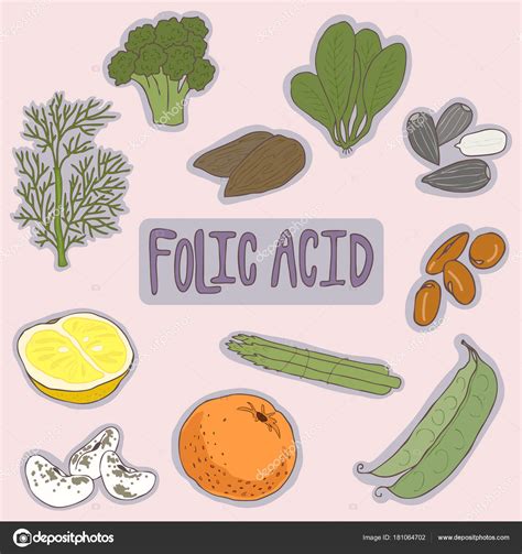 Set of Folic acid foods healthy plan. Medical healthcare concept. Vector flat icon cartoon ...