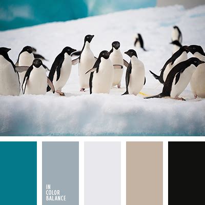 цвет морской волны | IN COLOR BALANCE