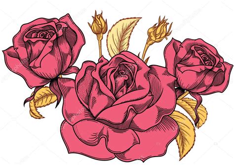 Dibujos De Rosas Y Flores Hot Sex Picture