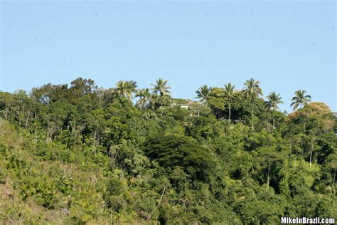 Pics And Movie Of Alesandra From Mike In Brazil Porn Pictures XXX Photos Sex Images