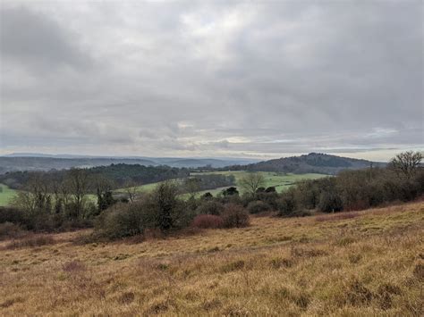 Newland's Corner & The Chantries - 13km - Surrey Walks