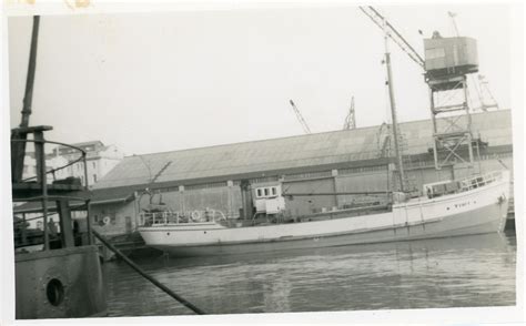 Photograph, Tiri - New Zealand Maritime Museum