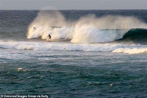 Surfer is killed by shark in Maui: Rescuers rushed the victim to shore