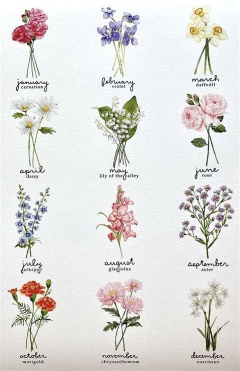 A Bunch Of Flowers That Are On A White Paper With Words Written In