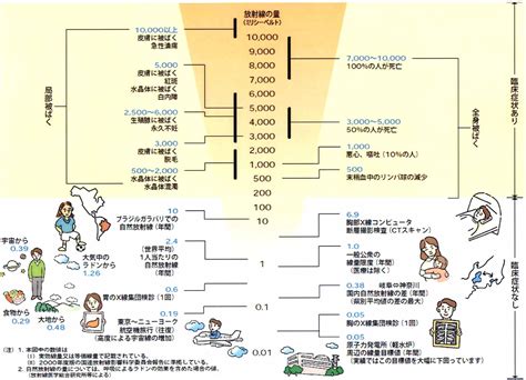 医療情報室ﾚﾎﾟｰﾄ№159（ 特 集 放射線と人体への影響