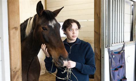 Sex V Gor Av Inflyttning Efter Istiden Forskning Framsteg
