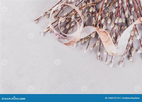 Springtime Background With Bunch Of Pussy Willow Twigs Tightened By Ribbon Stock Photo Image