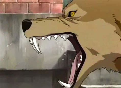 100 Wolfs Rain Toboe Wallpapers