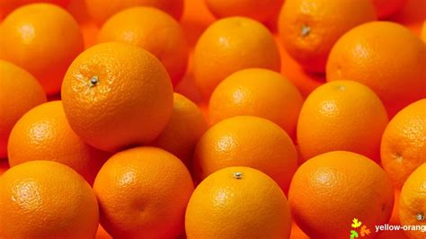 orange fruit wallpaper