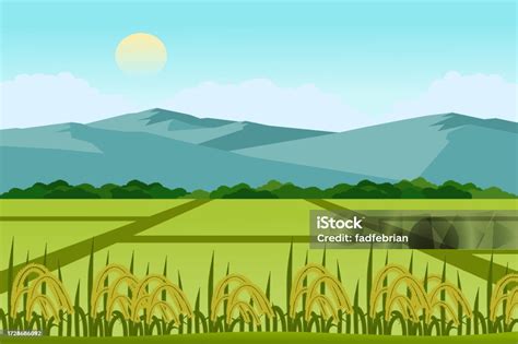 pemandangan sawah  sawah  indah  ilustrasi vektor