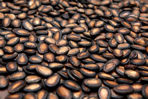 Roasted Watermelon Seeds Recipe