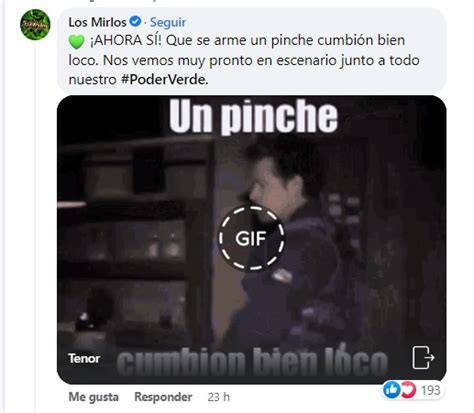 Los Mirlos compartirán escenario con Red Hot Chili Peppers UB y más en el Vive Latino