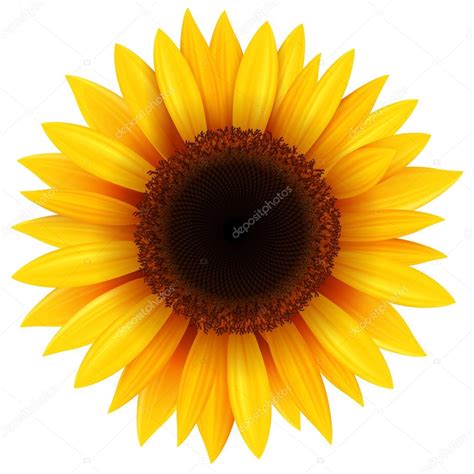 Girasol Animado
