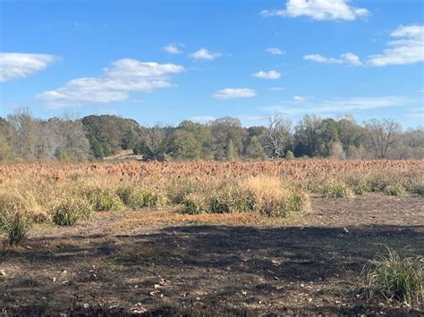 Hobby Farm With Hunting Along Middle Fork Forked Deer River Southern