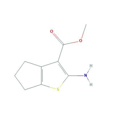 China Metil 2 Amino 5 6 Dihidro 4H Ciclopenta B Tiofeno 3 Carboxilato