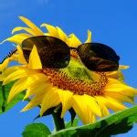 Yqdwt S Porn Videos Pornhub